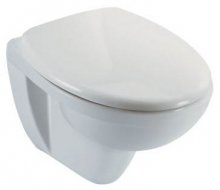 Фото товара Крышка-сиденье Jacob Delafon Patio E70007 с микролифтом