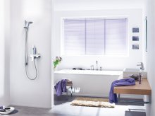 Фото товара Душевая лейка Grohe Euphoria 27220000