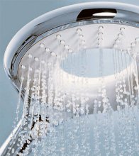 Фото товара Душевая лейка Grohe Rainshower Icon 27276000