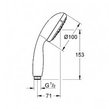 Фото товара Душевая лейка Grohe Tempesta New 100 28261001